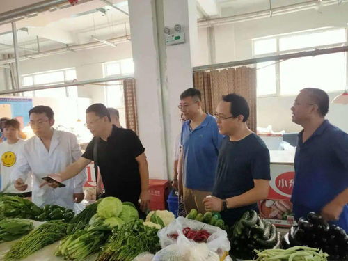 守護“舌尖上的安全”——區市場監管局開展食品安全宣傳周活動，聚焦食用農產品安全