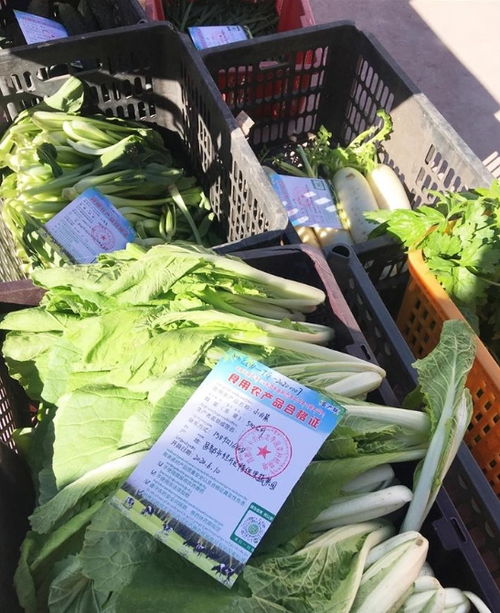 西藏食用農產品合格證累計出具突破4600張，質量安全追溯體系穩步構建