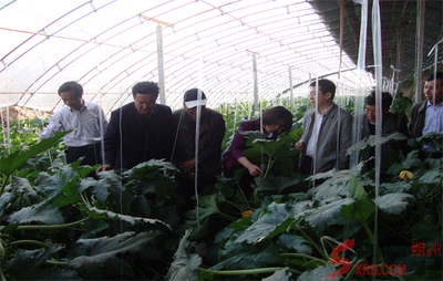 朔州科協(xié)請(qǐng)來(lái)專家現(xiàn)場(chǎng)指導(dǎo)科技服務(wù)(圖)_市直動(dòng)態(tài)_朔州頻道_山西新聞網(wǎng) - 主流媒體 山西門戶