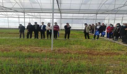 開展&ldquo;訂單式&rdquo;科技服務 助力鄉(xiāng)村振興產(chǎn)業(yè)發(fā)展