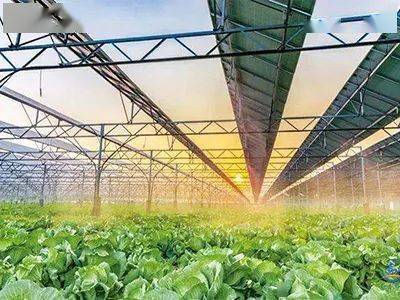 現(xiàn)代種業(yè)、鄉(xiāng)村新型服務業(yè)&hellip;國家鄉(xiāng)村振興局鼓勵社會資本投資這些涉農(nóng)產(chǎn)業(yè)!