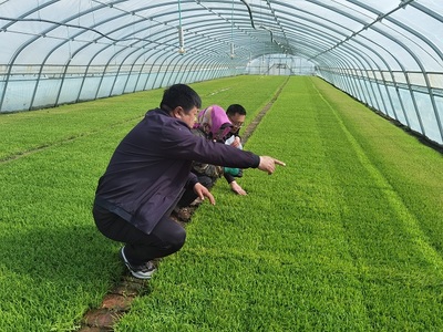 肇源農(nóng)場ldquo;保姆式&rdquo;服務助力春耕備耕
