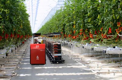 江蘇綠港-蒙城興農(nóng)綠港現(xiàn)代農(nóng)業(yè)科技產(chǎn)業(yè)園項(xiàng)目正式開工