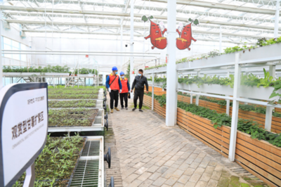 泗水縣人民政府 最新動(dòng)態(tài) 縣供電公司:電足蔬果飄香產(chǎn)業(yè)興