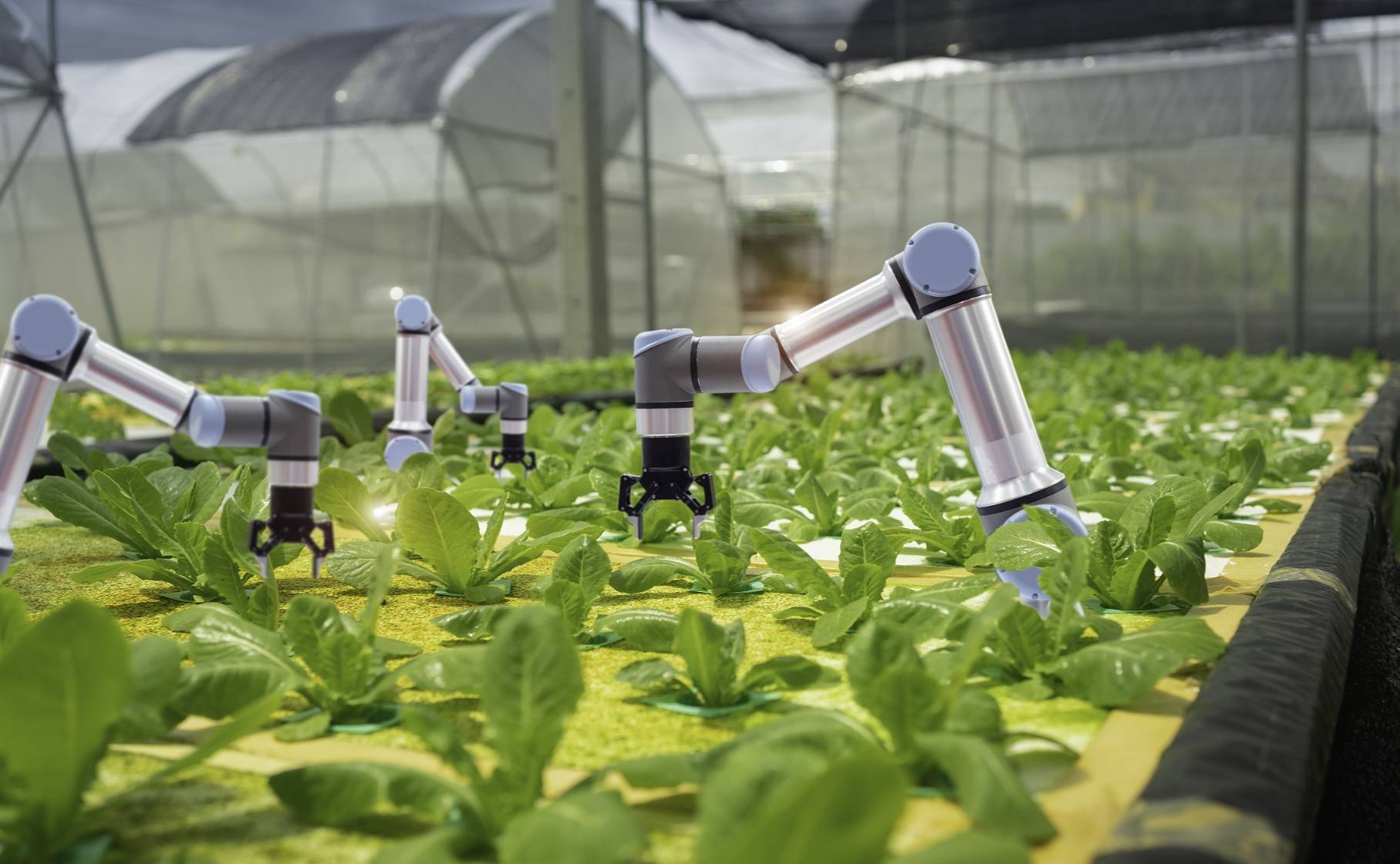 農(nóng)業(yè)農(nóng)村部:對農(nóng)業(yè)科創(chuàng)企業(yè)支持貸款規(guī)模提高至單筆不超1000萬元_服務(wù)