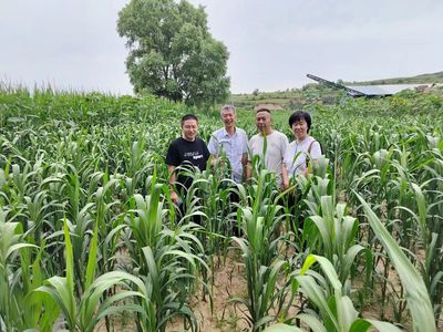 經(jīng)作所三區(qū)特派團在渾源縣召開對接會并開展技術服務