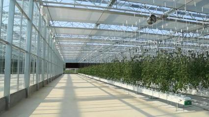 三亞美麗鄉村建設-共享農莊(一)