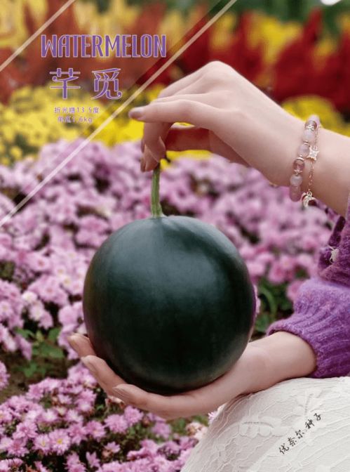 依托植物基因組分子育種技術,創新精品西甜瓜發展之路