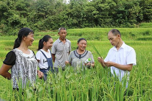 淄博人均gdp增長形勢好,農(nóng)業(yè)科技化出力可不小