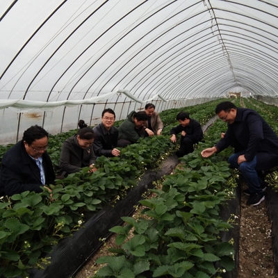 田家庵區科技特派員對接農業基地