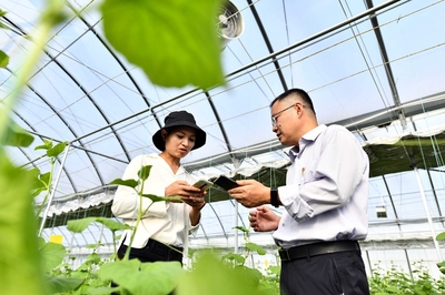 地頭來(lái)了鄉(xiāng)村振興服務(wù)隊(duì)