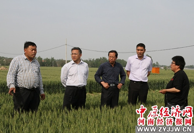 河南農(nóng)業(yè)大學(xué) 科技套餐送達田間地頭，精準(zhǔn)服務(wù)助推鄉(xiāng)村振興