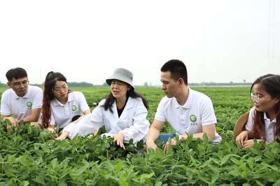 躬耕花生三十載 扎根農田為科研——記河南農業大學教授殷冬梅的農業科技服務之路